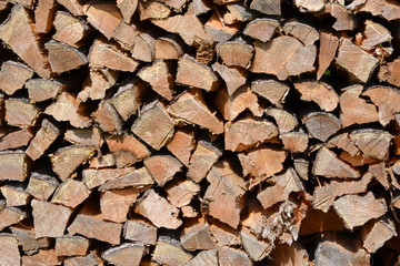 Holz © ernstboese