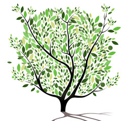 Obraz premium Jahreszeit