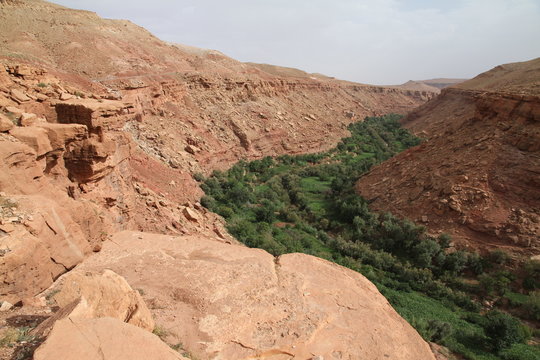 Flussoase in Marokko