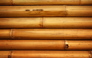 bamboo fence