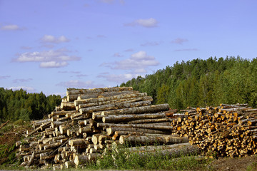Two piles of logs rural landscape