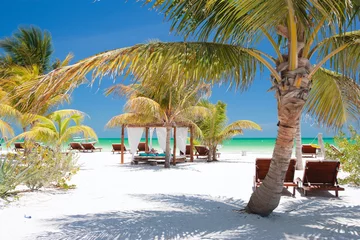 Foto op Canvas Perfect tropical beach © BlueOrange Studio