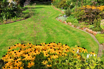 Herbstgarten mit Rudbeckia