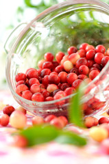 Sprinkled cranberries in a glass bowl on a table.