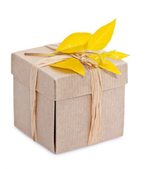 Paquet cadeau emballage écologique