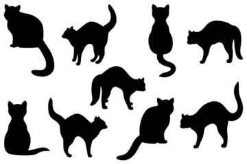 silhouetten von katzen