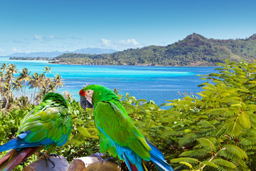 Bright parrot against the sea and mountains © Konstantin Kulikov