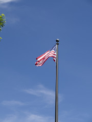 Stars and Stripes Flag