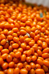 Sea-buckthorn