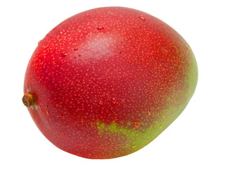 Mango isolated on white background
