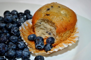 Tasty Blueberry Muffin