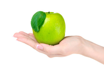 Woman hand holdig ripe organic apple isolated on white