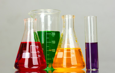 test tubes in the laboratory on a gray background