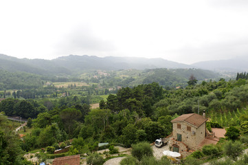 Landscape near Lucca