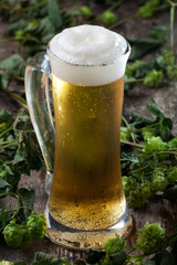 Bier und Hopfen