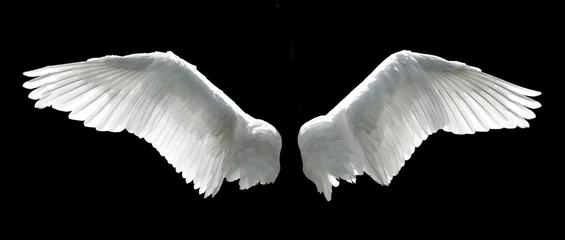 Foto op Plexiglas Angel wings isolated on the black background © Solid photos