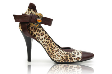 Elegant shoes on the white