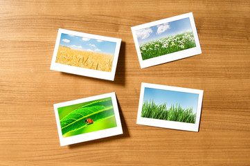 Fototapeta premium Nature photos in picture frames
