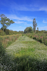 derelict canal