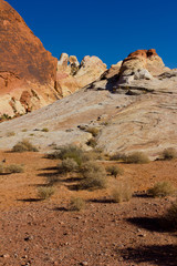 Fototapeta premium Valley of Fire