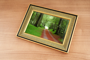 Forest on the picture frames
