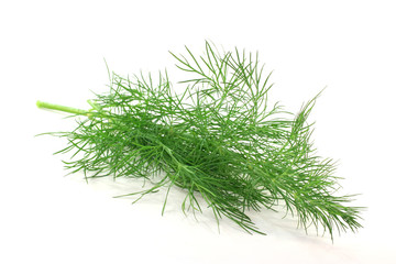 Dill