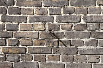 Brick wall background