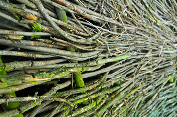 wall of sticks