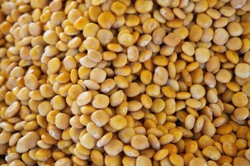 Lupins