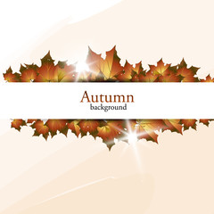 New autumn banner. Vector illustration.