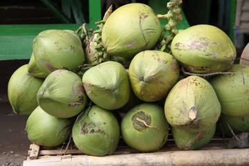 java,noix de cocotiers