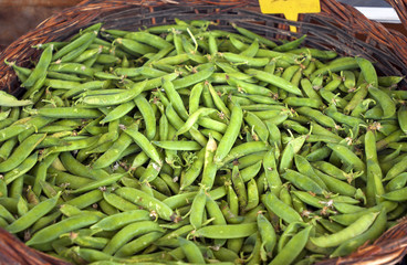 mercado