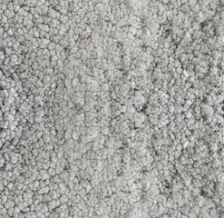 lamb fur texture