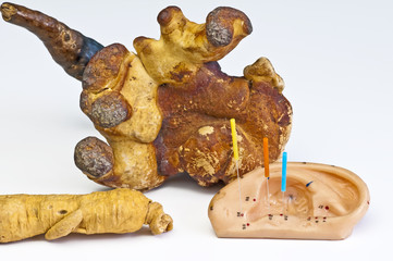 Ohrkupunktur,Ginsengwurzel  und Lingzhipilz