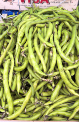 mercado