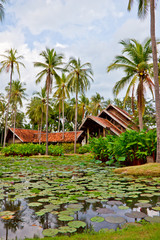 lotus pond and Thai style building