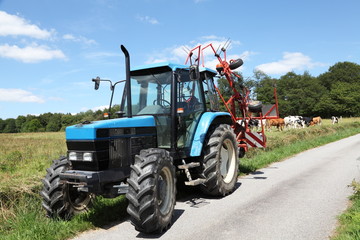 Tracor Hay Rake And Cattle