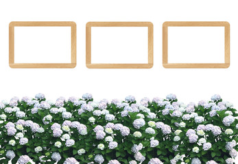 flower frame