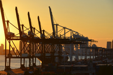 Miami port cranes