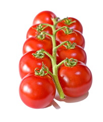 Strauchtomaten