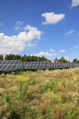 Solar Power Station in the green summer Nature