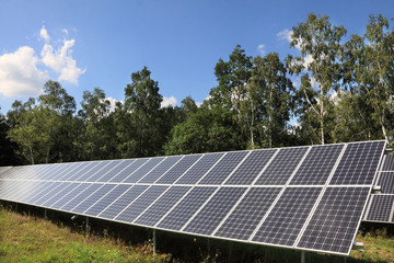 Solar Power Station in the green summer Nature