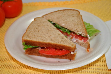 Healthy Meatless Sandwich