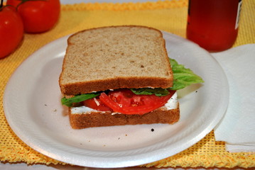 Healthy Veggie Sandwich