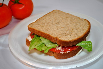 Lettuce and Tomato Sandwich for Lunch