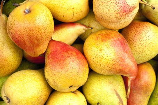 Group of Fresh Ripe Pears