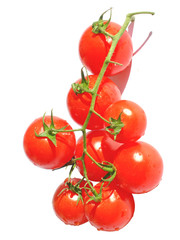 Tomatoes