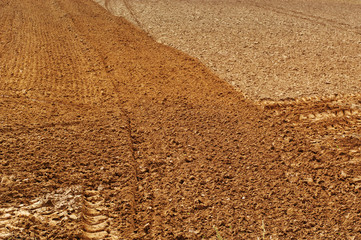 Soil surface.