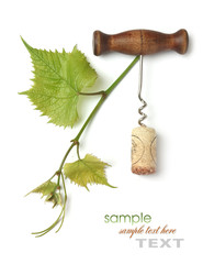 corkscrew and cork