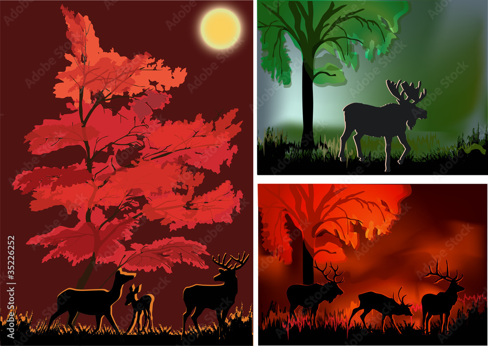 Wall mural three compositions with deers in forest